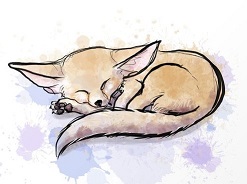 Bild von der Webseite von Deko-Fuchs